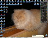 мир.jpg