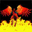-=phenix=-