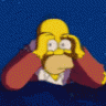 homerS