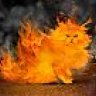 greatcat