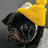 bizzy3