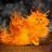 greatcat